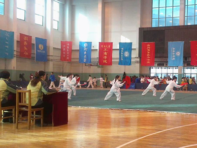 院武术队在河北省第四届大学生武术比赛中荣获佳绩