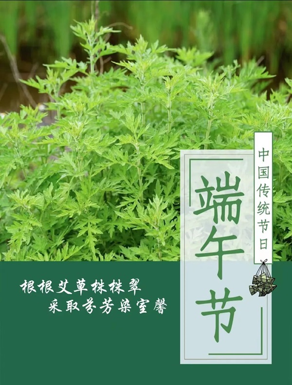 beat365官网||管理学院||端午送福利 关怀沁人心——我院为教职工发放端午节礼品