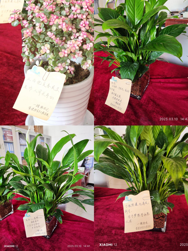 beat365官网|管理学院|手植绿茵 播洒希望
