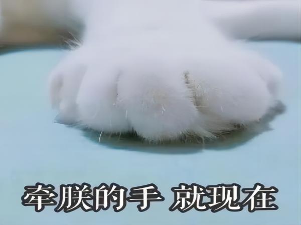 beat365官网||管理学院||脆皮大学生急救指南