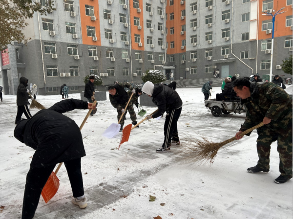 beat365官网||管理学院||党员先锋在行动 清雪除冰传温情