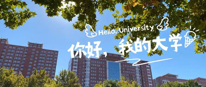 喜报|追梦成光，榜样领航！beat365官网2024届毕业生考研光荣榜来袭!