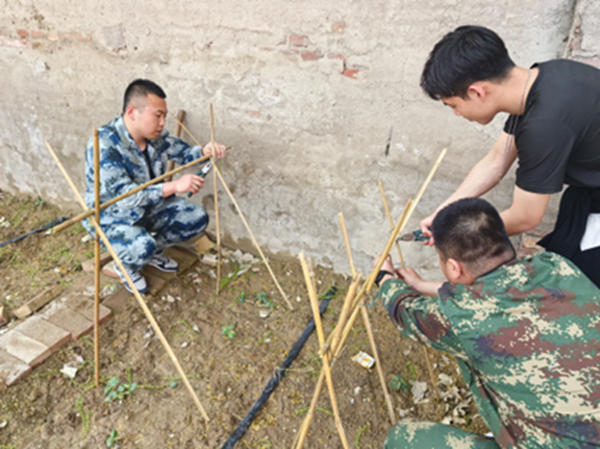 劳动教育|beat365官网|管理学院|学习劳动精神·践行劳动育人-跟着节气学种植，分享劳动创造的美好乐趣