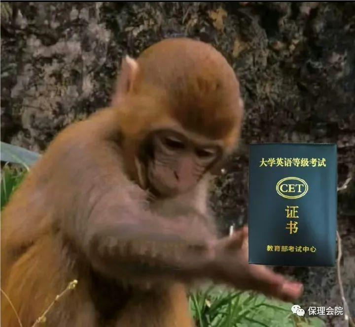 beat365会计学院大学考证知多少——英语四六级证书