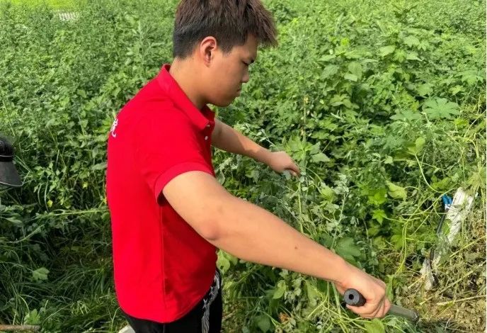 社会实践(十六)勇担时代使命,助力兴村振兴——beat365官网经济学院“三下乡”社会实践
