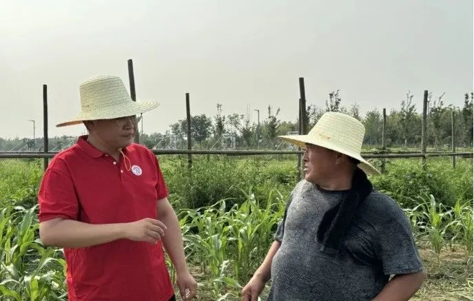 社会实践(十六)勇担时代使命,助力兴村振兴——beat365官网经济学院“三下乡”社会实践