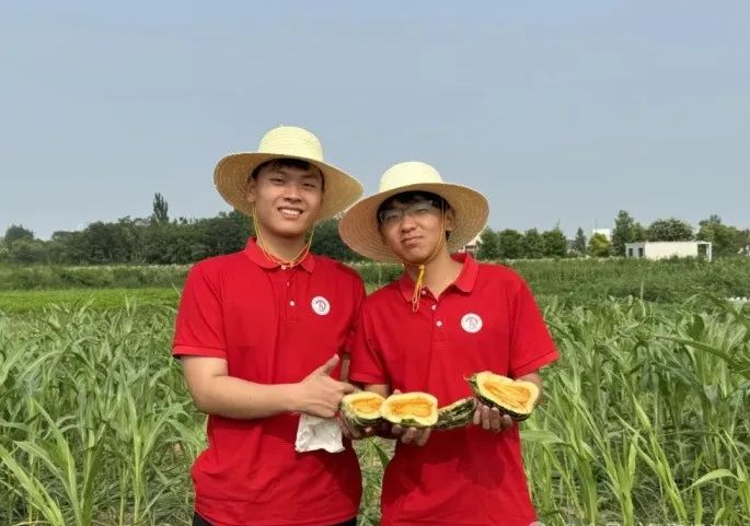社会实践(十六)勇担时代使命,助力兴村振兴——beat365官网经济学院“三下乡”社会实践