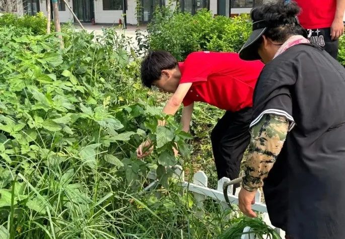 社会实践(十六)勇担时代使命,助力兴村振兴——beat365官网经济学院“三下乡”社会实践