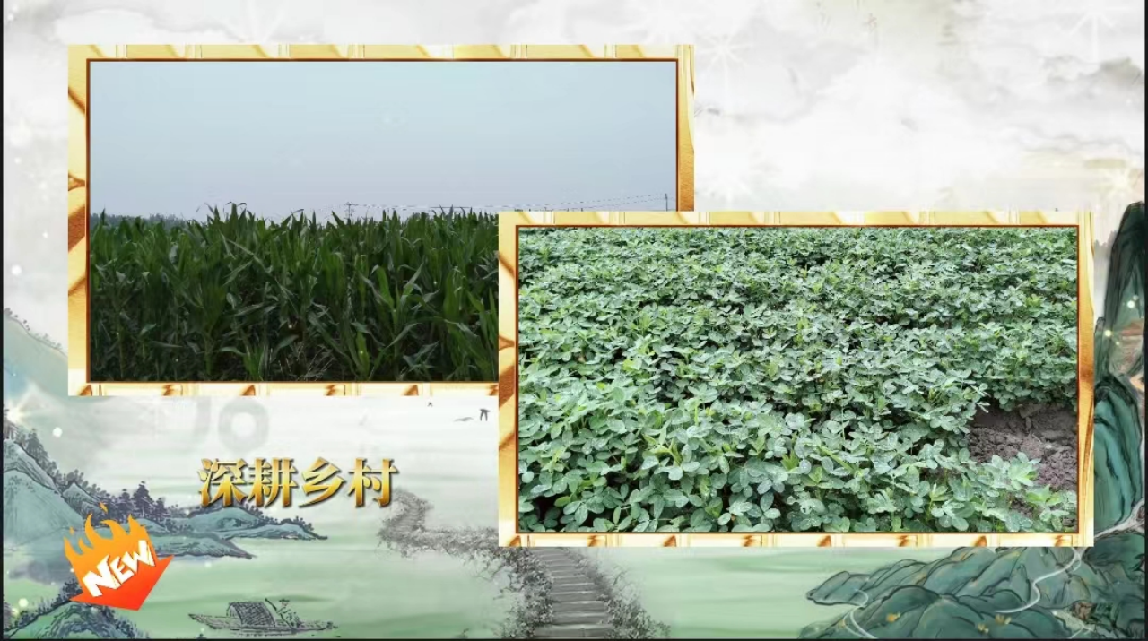 社会实践（八）|助力乡村振兴，绽放青春风采——beat365官网教育学院暑期“三下乡”实践活动