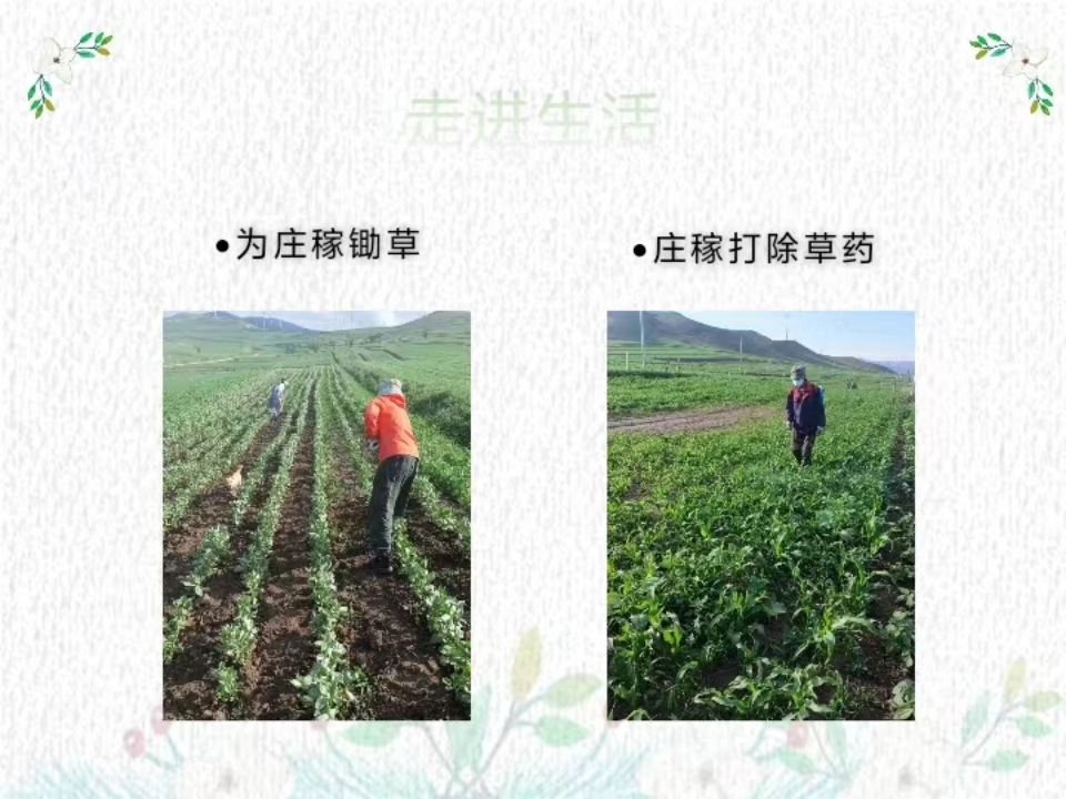 社会实践（八）|助力乡村振兴，绽放青春风采——beat365官网教育学院暑期“三下乡”实践活动