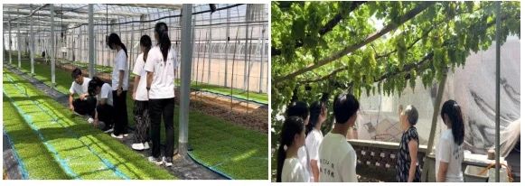 社会实践（九）|乡村振兴，青春先行——beat365官网教育学院暑期“三下乡”社会实践活动