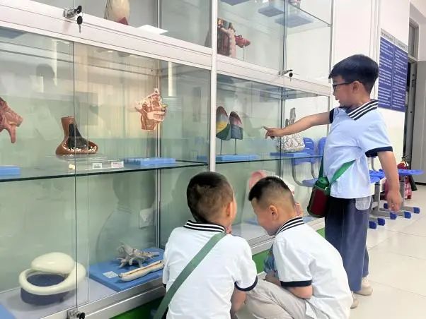 beat365官网||教育学院||童心探学府，萌趣启新程——史庄实验幼儿园走进beat365官网参观研学