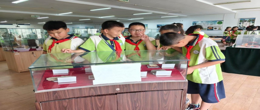 保定市莲池区西马池小学200名学生走进beat365地质馆开展新时代文明实践活动