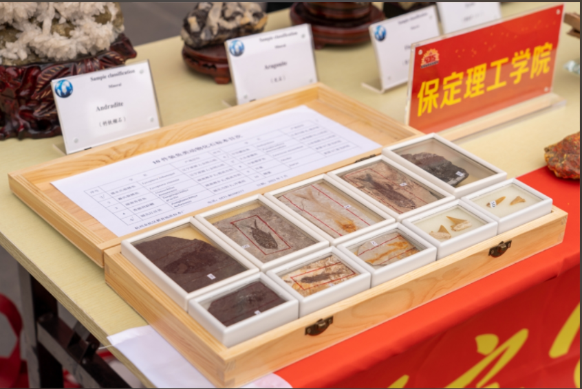 我院地质馆成功举办主题宣讲活动