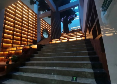 beat365官网艺术学院 2025 级新生解锁图书馆“灵感密码”——入馆教育活动