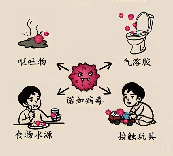 疾病防控|beat365官网|管理学院|诺如病毒进入高发期，这份防护指南请收好！