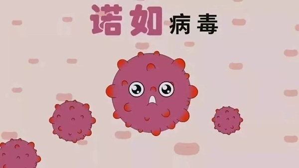 疾病防控|beat365官网|管理学院|诺如病毒进入高发期，这份防护指南请收好！