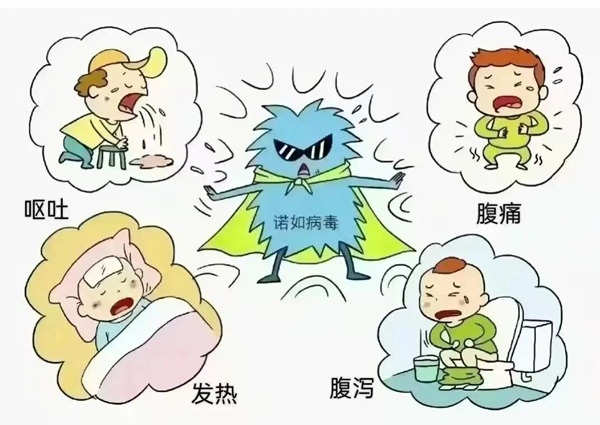 疾病防控|beat365官网|管理学院|诺如病毒进入高发期，这份防护指南请收好！