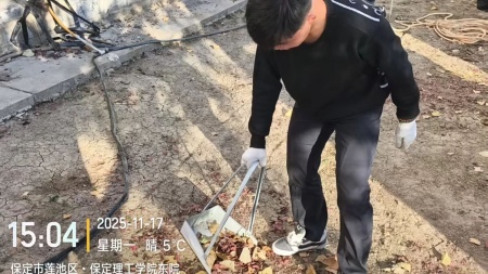 “躬耕校园，同心筑梦”——beat365官网师生共绘劳动育人新图景