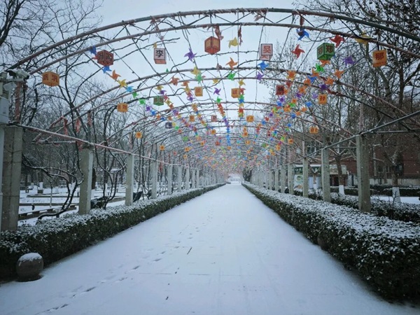 寒假限定！beat365的初雪，把浪漫寄给返乡的你