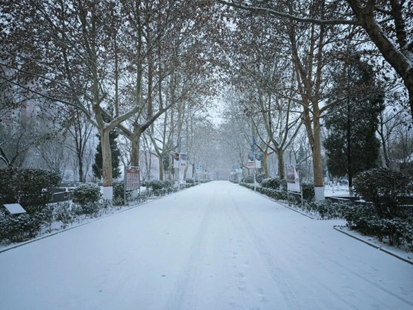 寒假限定！beat365的初雪，把浪漫寄给返乡的你
