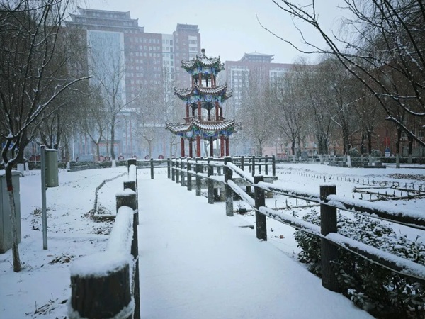寒假限定！beat365的初雪，把浪漫寄给返乡的你