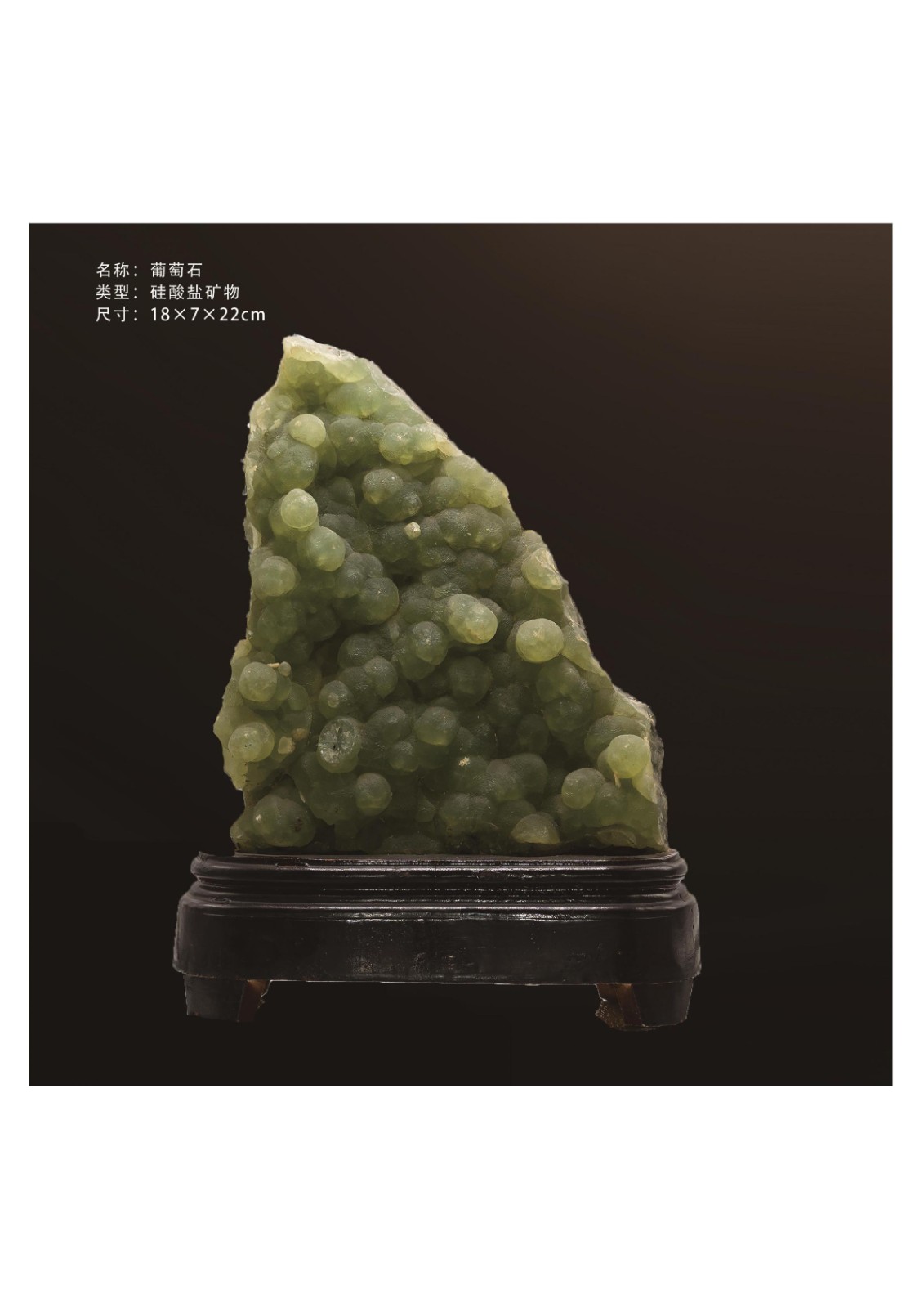 地质馆简介
