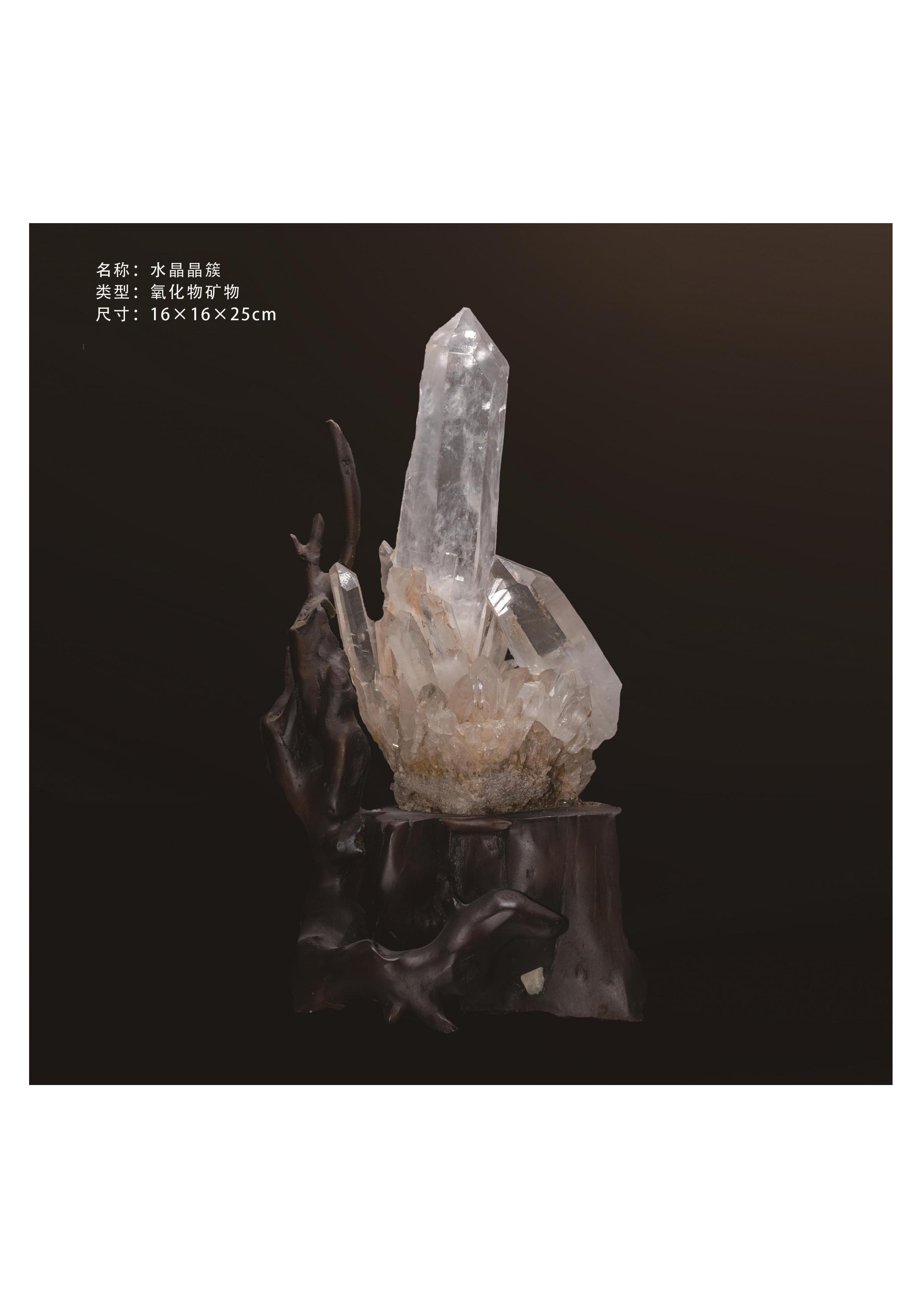 简介