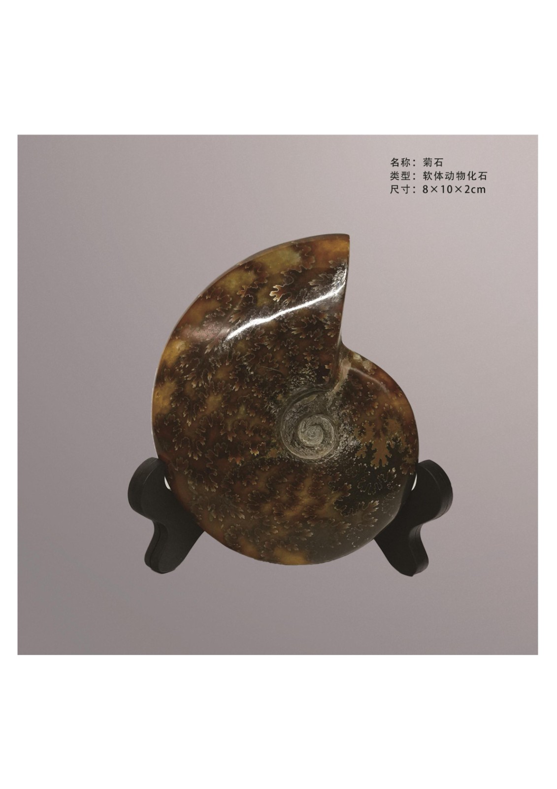 简介