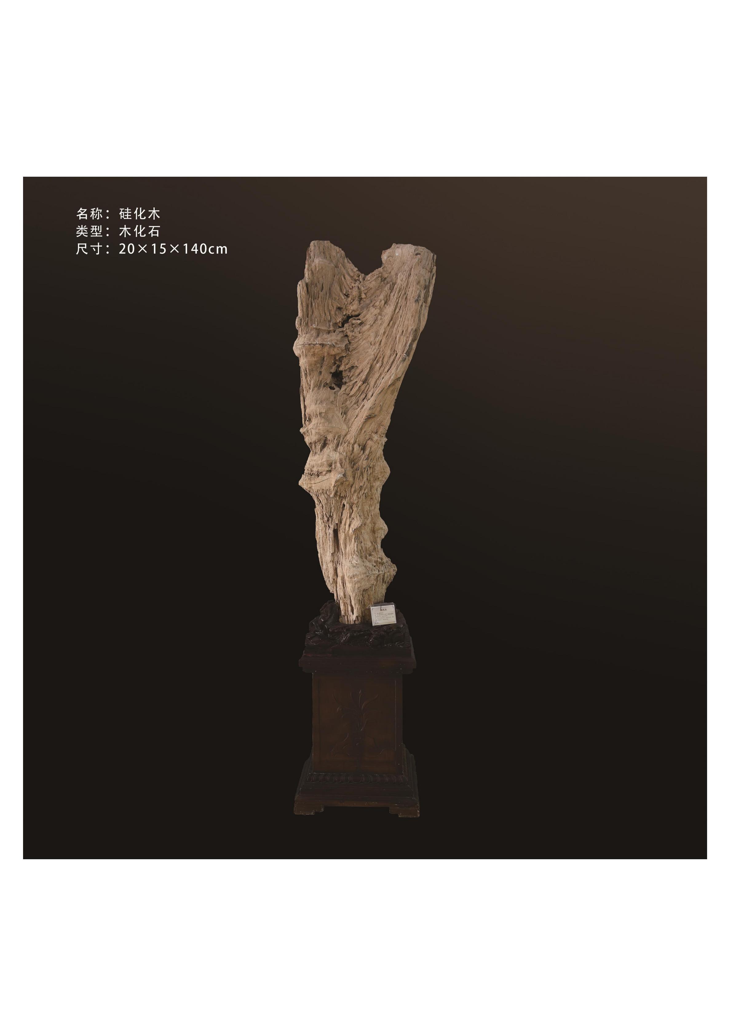 简介