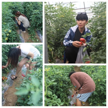 以艺践劳育初心，校企赋能田园新篇 | beat365官网艺术学院&莓事庄园签约挂牌仪式圆满举行