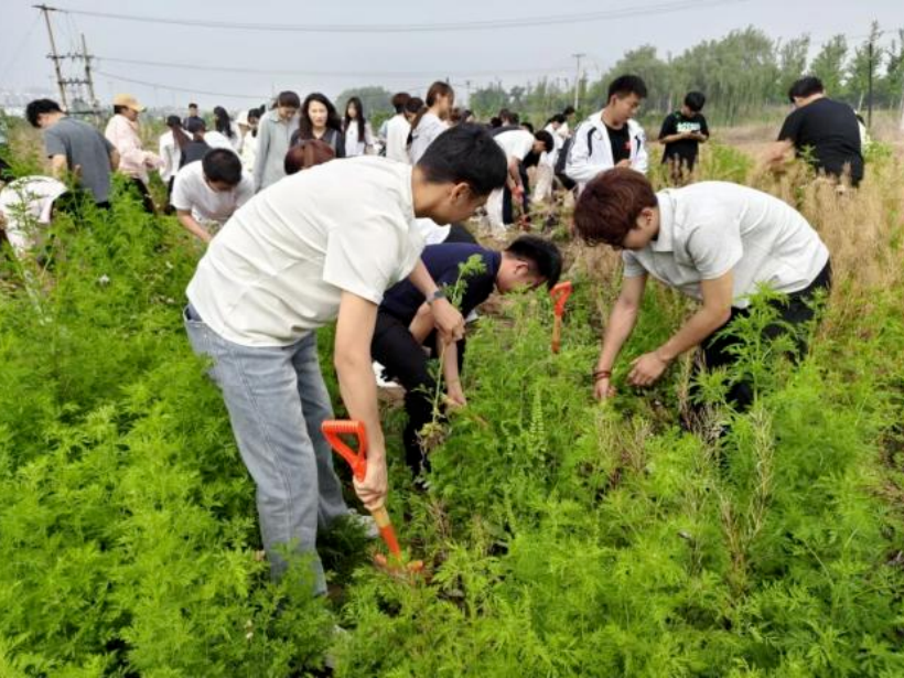 劳作知成本  实操学财会——会计学院开展劳动教育专业实践活动