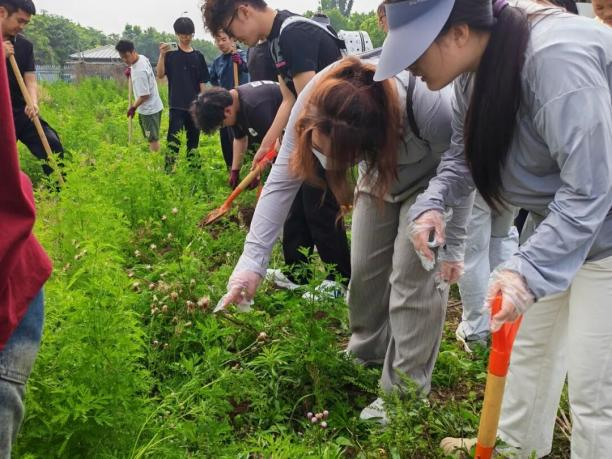 劳作知成本  实操学财会——会计学院开展劳动教育专业实践活动