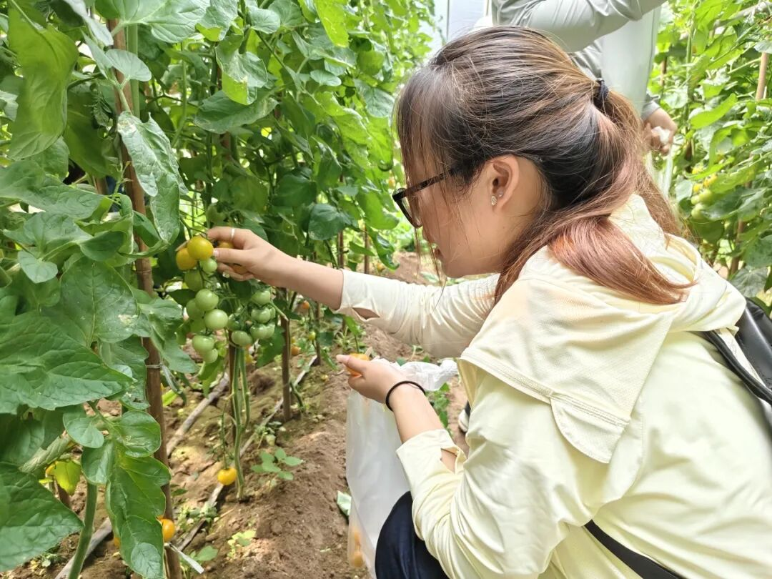 劳作知成本  实操学财会——会计学院开展劳动教育专业实践活动