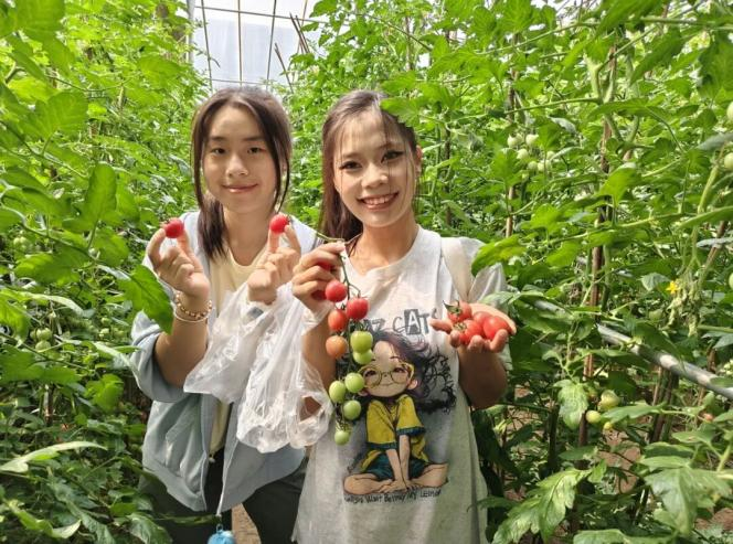 劳作知成本  实操学财会——会计学院开展劳动教育专业实践活动