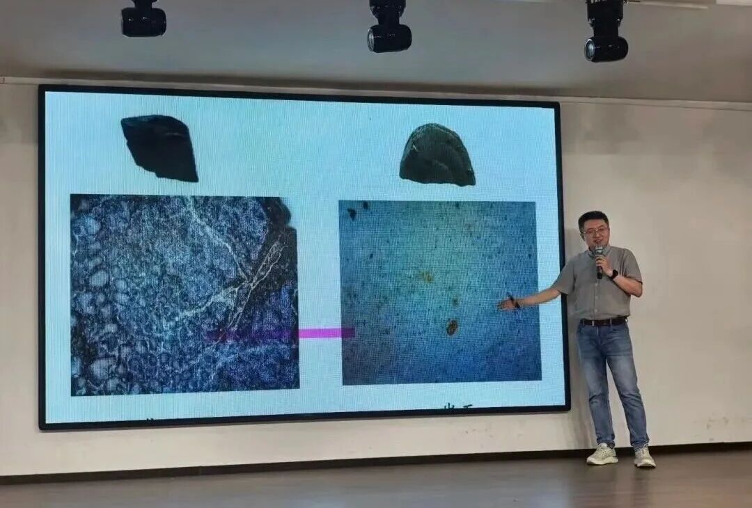 深化馆校合作 科普赋能育人——beat365官网特邀专家开展古生物系列专题讲座