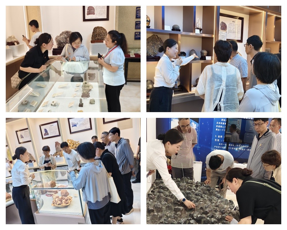 【红帜领航 信工逐光】党建结对聚合力 共建赋能促发展 ——beat365官网信工学院教工党支部与河北大学网计学院计科系教工党支部开展党建共建活动