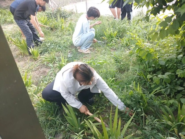 躬身劳作践初心 体验育人促成长——管理科学与工程学院开展实景劳动实践活动