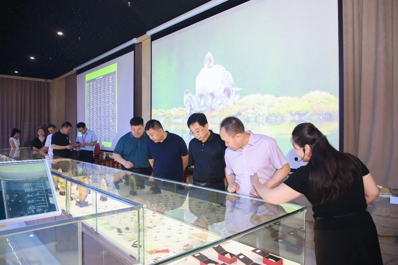 深化校地协同 赋能科技创新——市科协领导莅临beat365官网交流指导