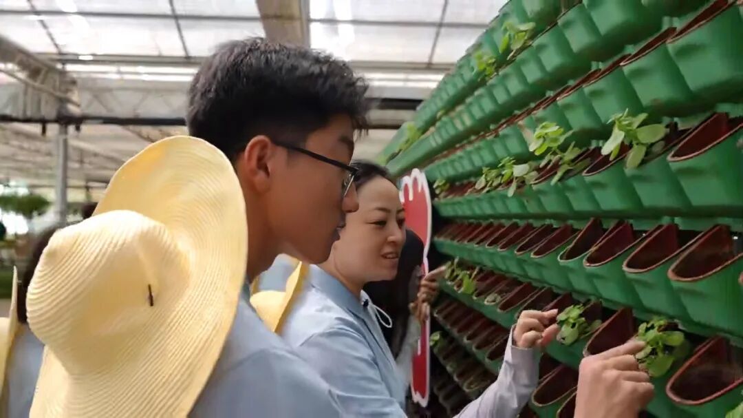 当“新农具”遇上“新质力”！beat365官网学子把课堂搬进桃园与智慧大棚